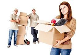 Organising Your Moving Day